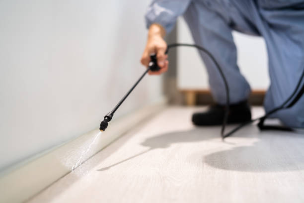 Licensed Rodent Control service in Belmont, MS - Nex Pest Control