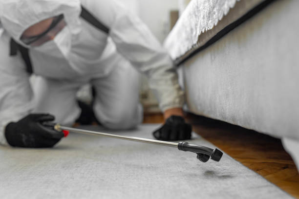 Professional Rodent Control technician working in Belmont, MS