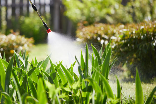 24/7 Emergency Rodent Control experts in Belmont, MS