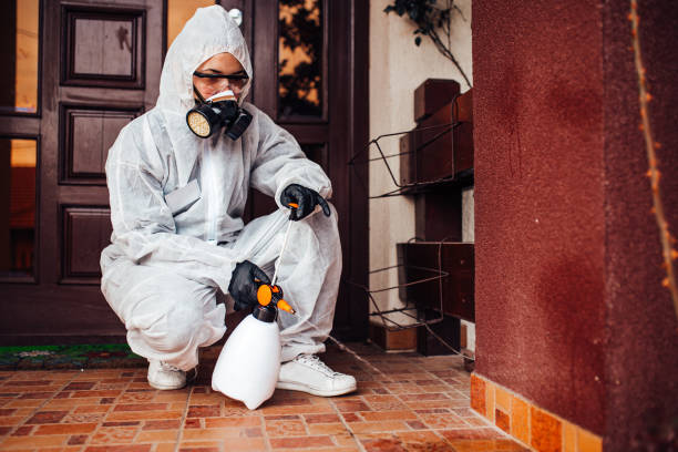 Reliable Rodent Control contractor in Belmont, MS by Nex Pest Control