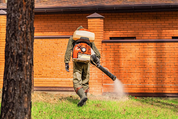Trusted Termite Control service in Belmont, MS - Nex Pest Control